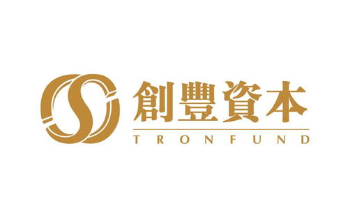上海創(chuàng)豐投資管理股份有限公司 專業(yè)投資管理服務(wù)的引領(lǐng)者